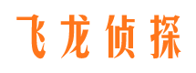 花山私家侦探公司